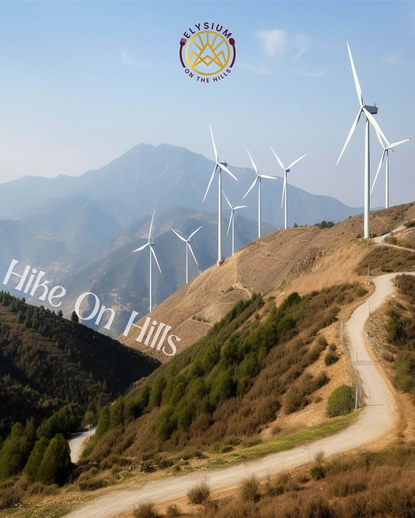 Windmill Views